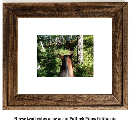 horse trail rides near me in Pollock Pines, California